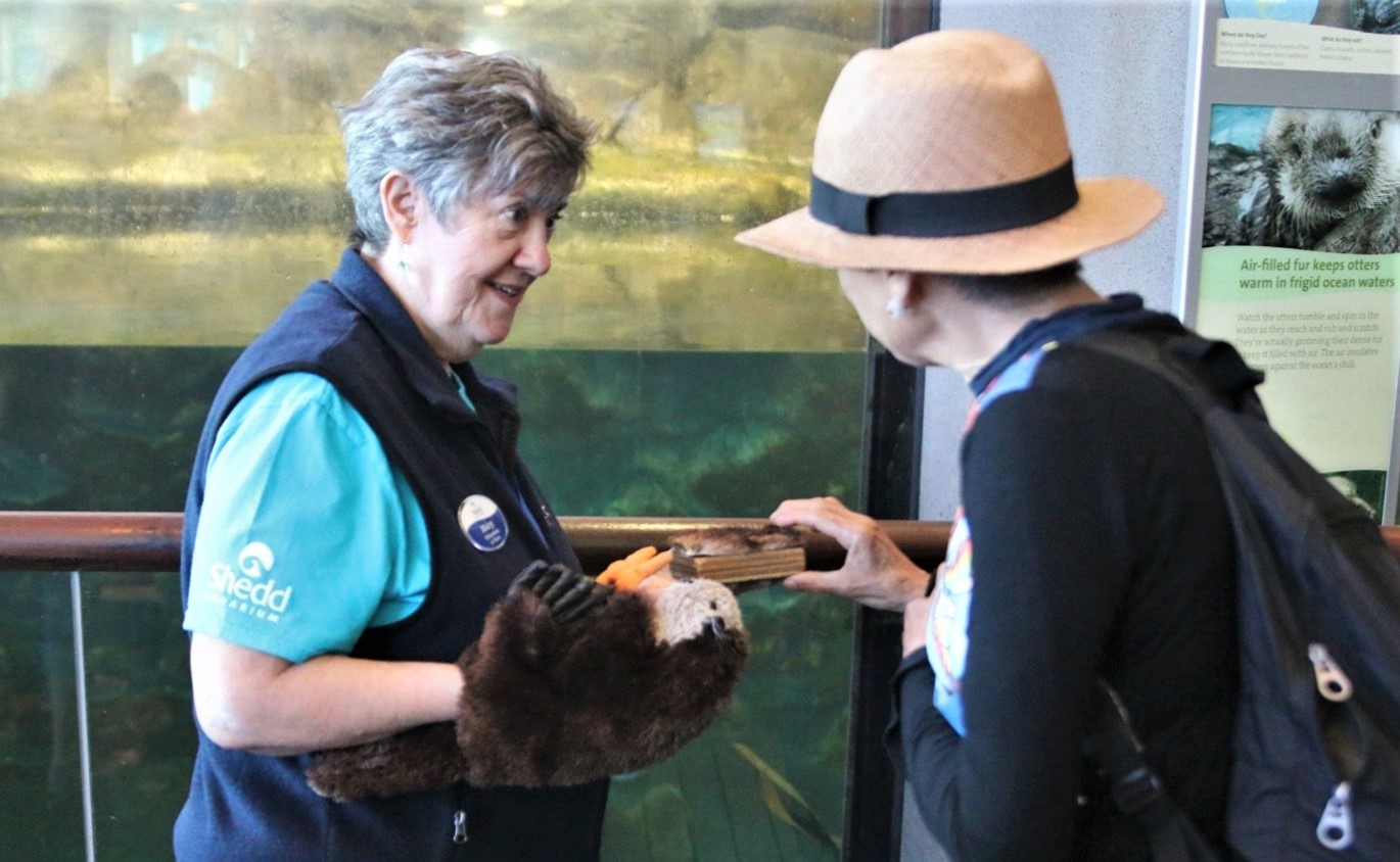 A Shedd Aquarium volunteer lets a guest touch a section of sea otter fur. Throughout the month of September, aquarium visitors learned about otter food, habitat, and conservation as well as about how their own actions can impact the species.