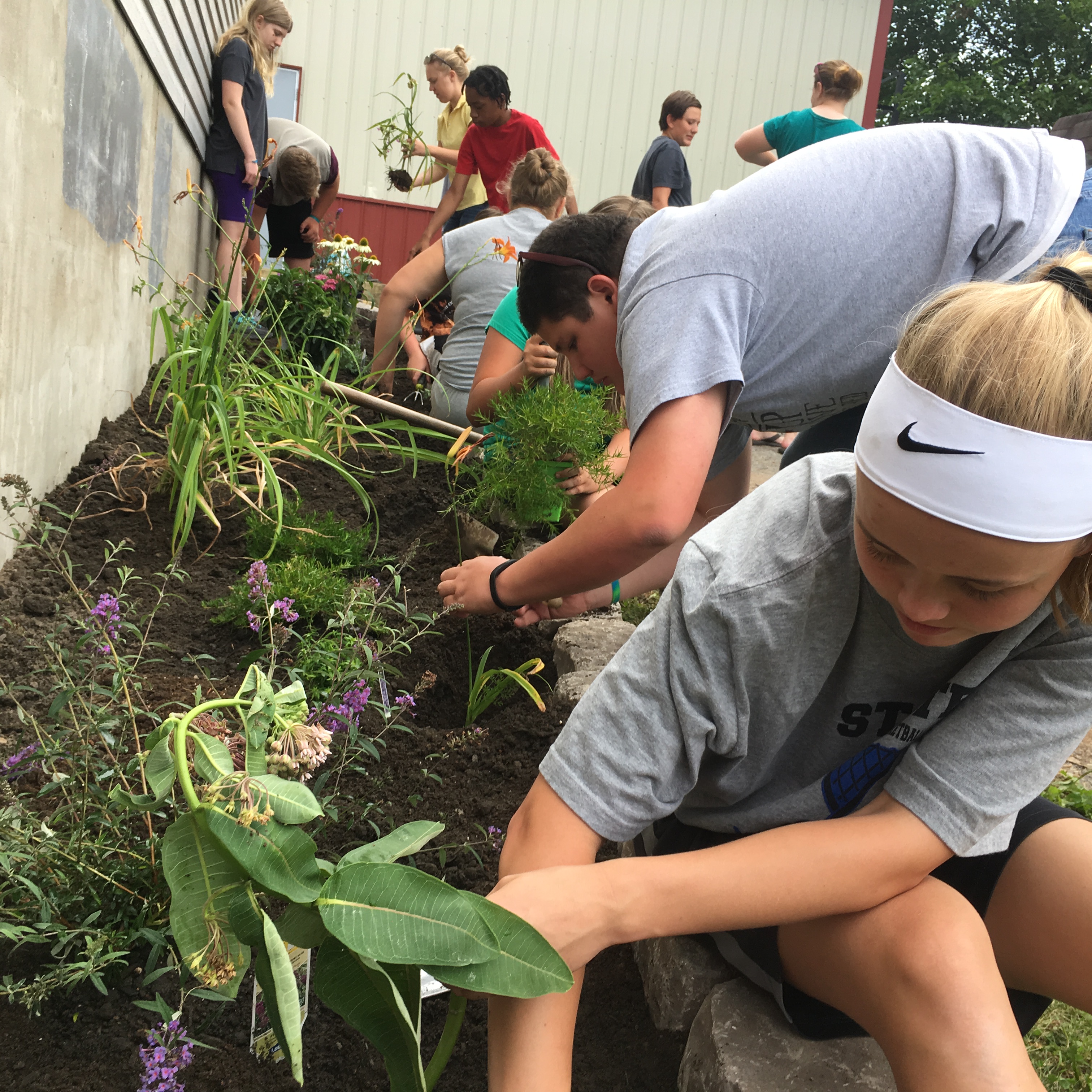Students have their hands in dirt while planting a raised wildflower garden along the side of a building