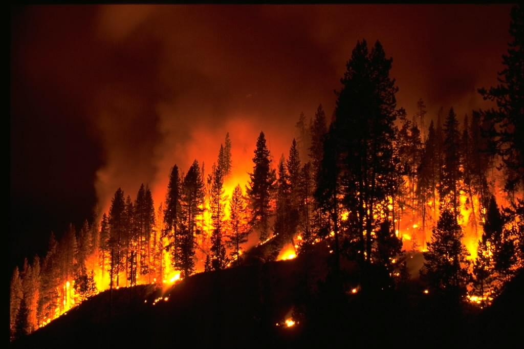 Since 1914, NOAA meteorologists have worked closely with fire behavior experts from the Forest Service, the Bureau of Land Management; and other federal, state, and local fire control agencies that are responsible for suppressing fires.  