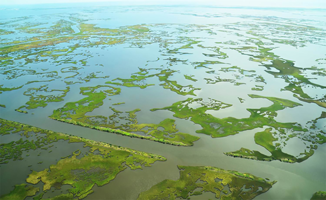 Aerial view of Barataria Basin marsh in Louisiana, part of the Gulf Spill restoration.
