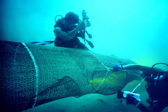 Divers test a turtle excluder device.