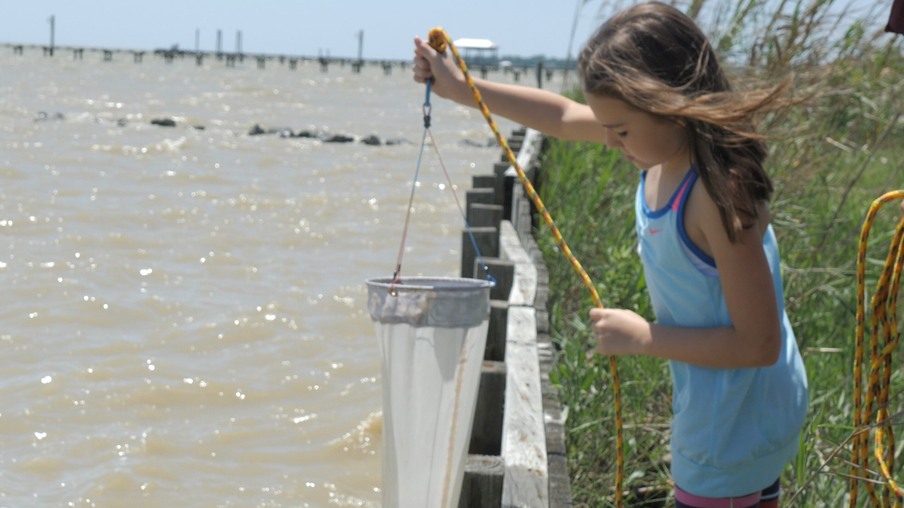 Girl stands at water's edge holding a plankton net preparing to complete a plankton tow (sampling) for a video being made to share watershed concepts with students at home due to COVID-19