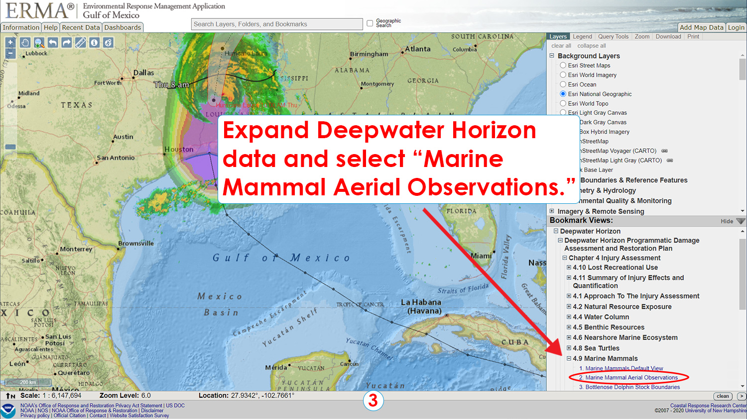 Step 3: Expand Deepwater Horizon data and select "Marine Mammal Aerial Observations."