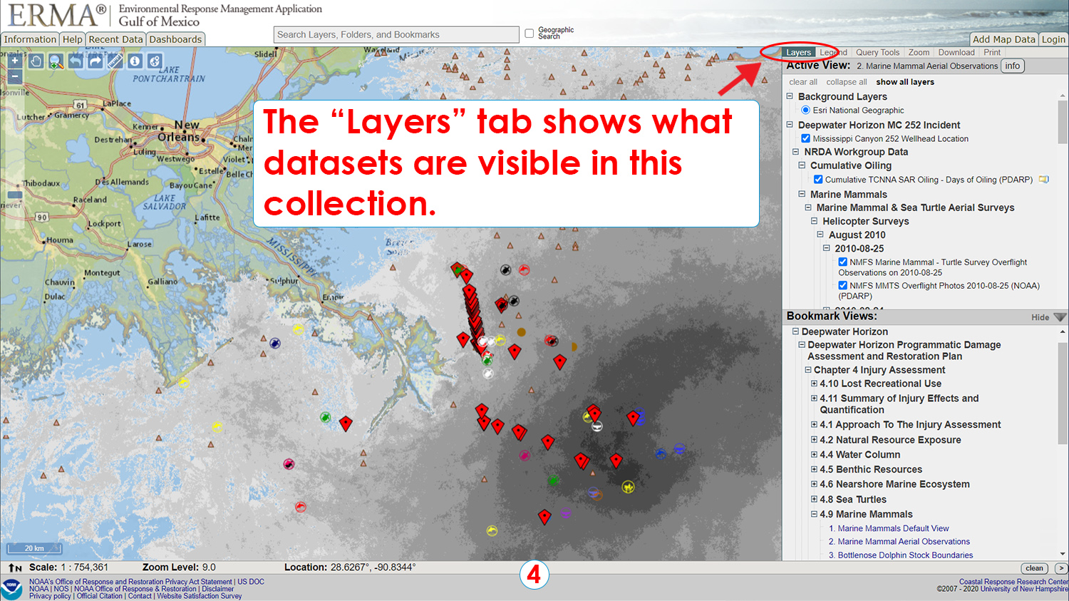 Step 4: The "Layers" tab shows what datasets are visible in this collection.