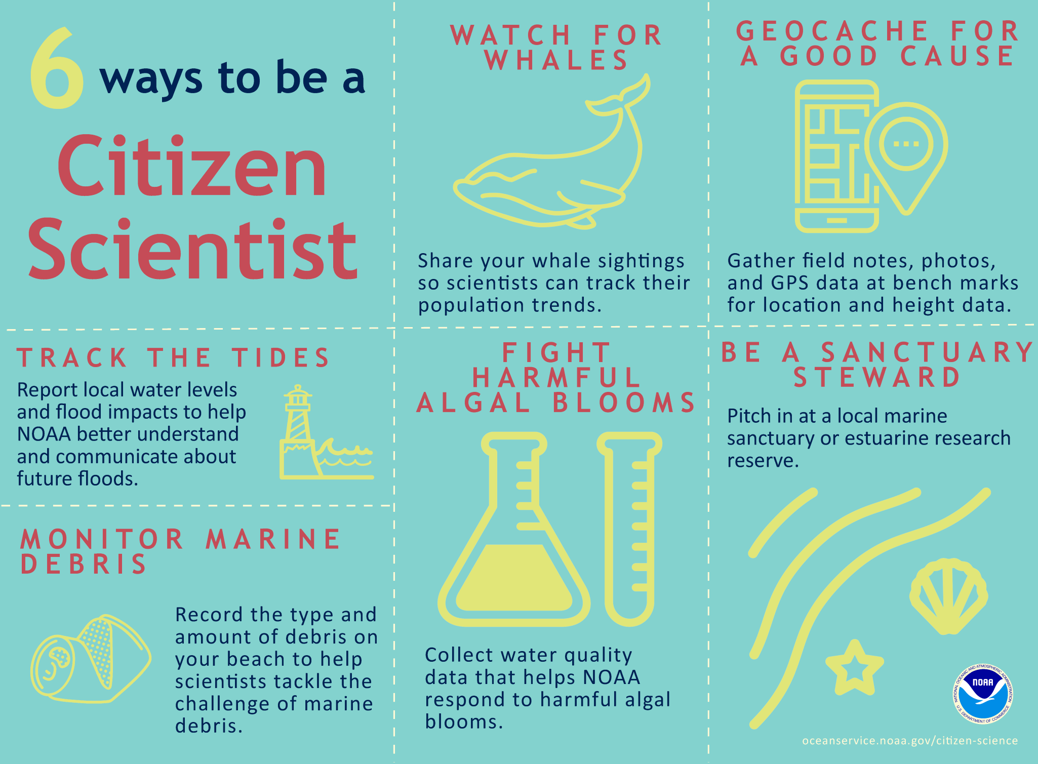 Citizen science typically involves data collection by members of the public who pass their information along to researchers trying to answer real-world questions. The idea behind citizen science is that anyone, anywhere, can participate in meaningful scientific research.