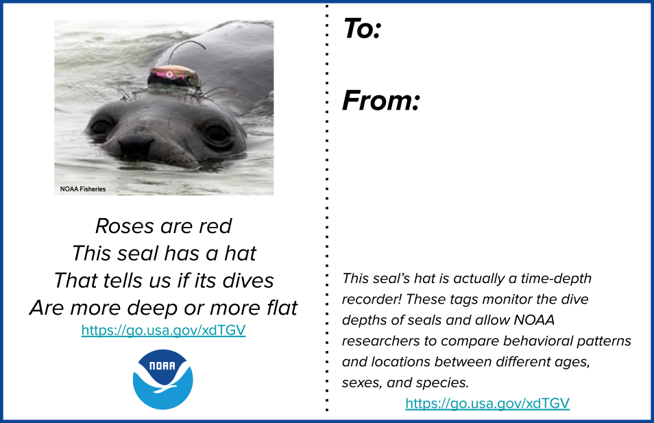 A printable two-sided valentine. The front side has a photo of a seal with a monitoring device on it’s head and reads “Roses are red, this seal has a hat that tells us if its dives are more deep or more flat.” The back side reads “This seal’s hat is actually a time-depth recorder! These tags monitor the dive depths of seals and allow NOAA researchers to compare behavioral patterns and locations between different ages, sexes, and species.” Link: https://go.usa.gov/xdTGV 