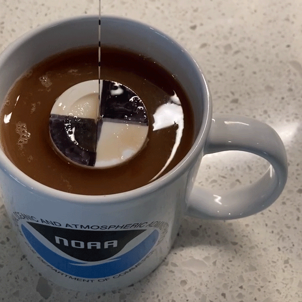 A looping GIF shows a small disk on a string being lowered into a mug of tea. The disk is colored in with four alternating sections of black and white. The string has been marked at regular intervals. 