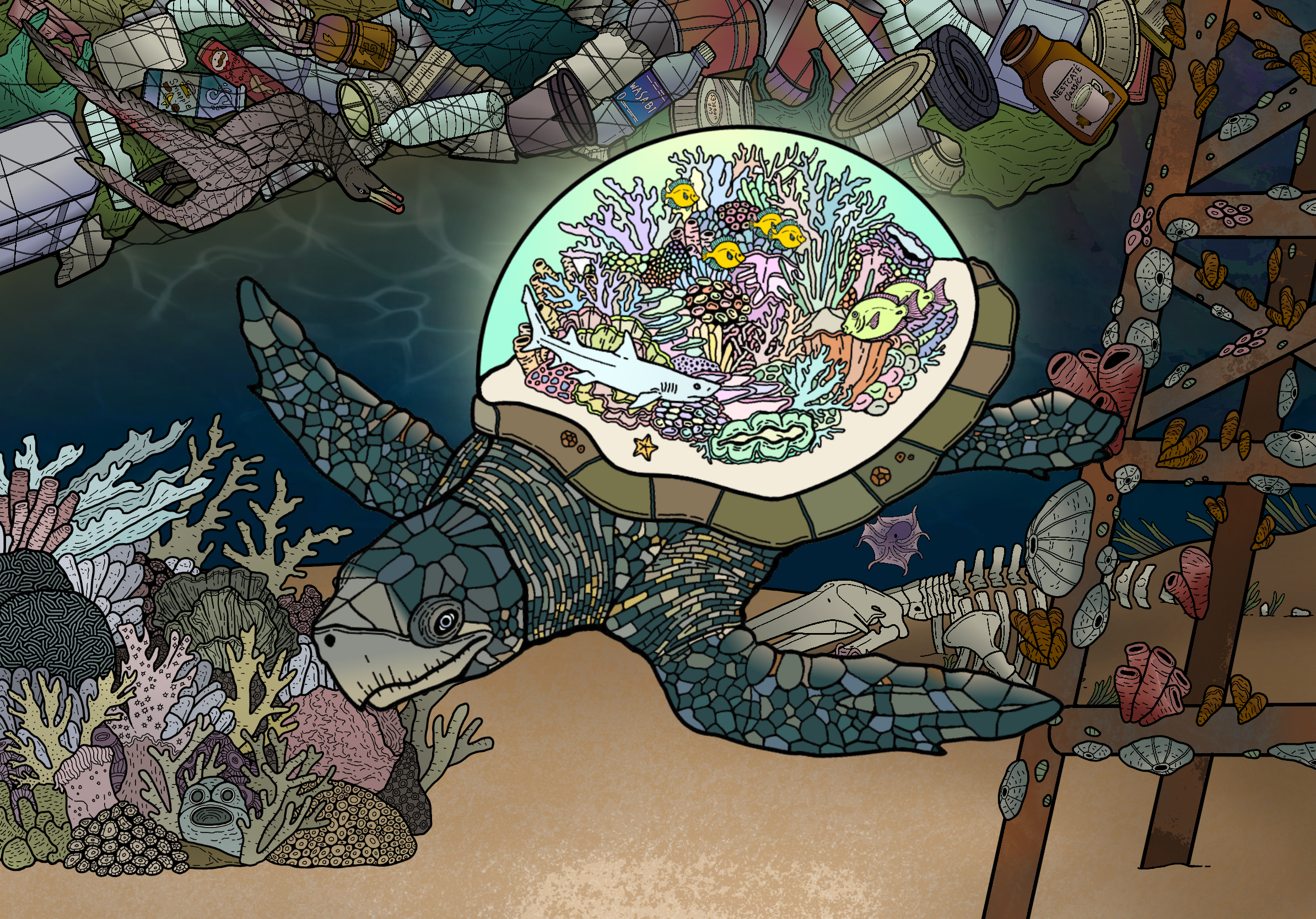 Illustration of a sea turtle underwater. In the background, the ocean shows signs of environmental degradation including plastic debris, a seabird caught in a fishing net, and a whale skeleton. The dome of the turtle's shell contains a scene of a thriving coral reef that glows bright against the otherwise dark illustration.