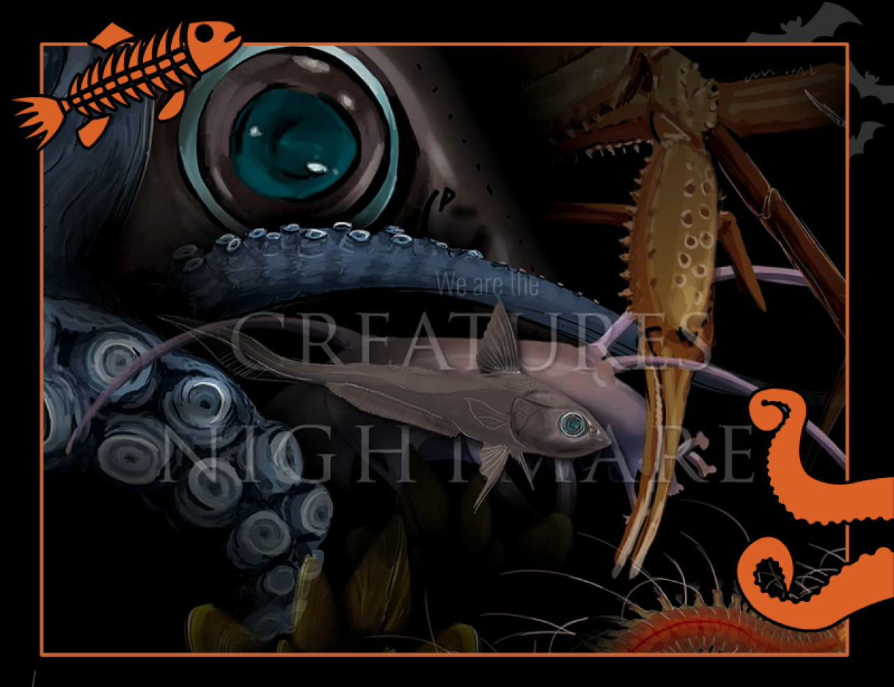 Illustration of deep marine sea creatures. Text: We are the creatures of nightmares. Border of the photo is black with orange sea creature graphics of octopus tentacles and a fish skeleton. Text: Creatures of a whale fall, #NOAASpookyScience with NOAA logo.