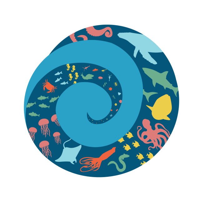 A graphic of a spiral featuring different forms of ocean life, including phytoplankton, shrimp, crabs, squid, sharks, octopuses, and more.
