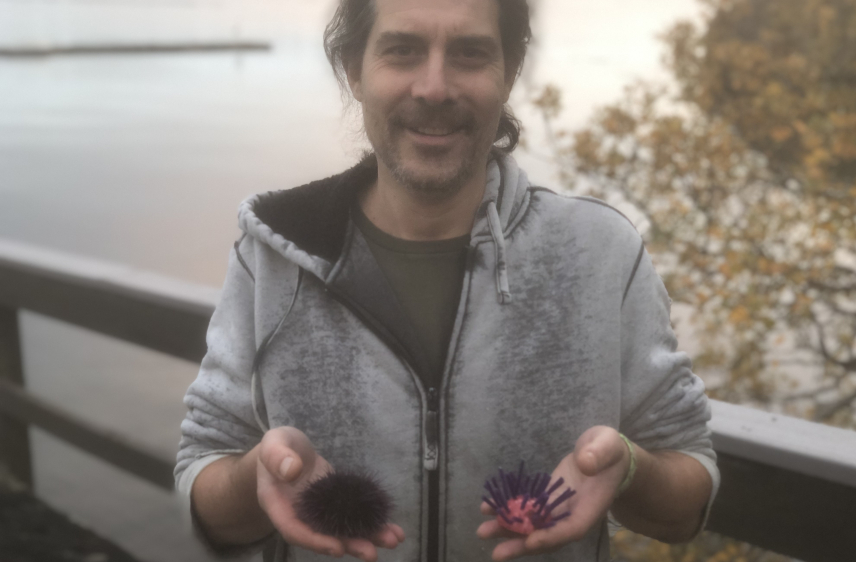 Jason Hodin holds a sea urchin in one hand and a pink and purple model of a sea urchin in another, he is standing in front of a body of water.