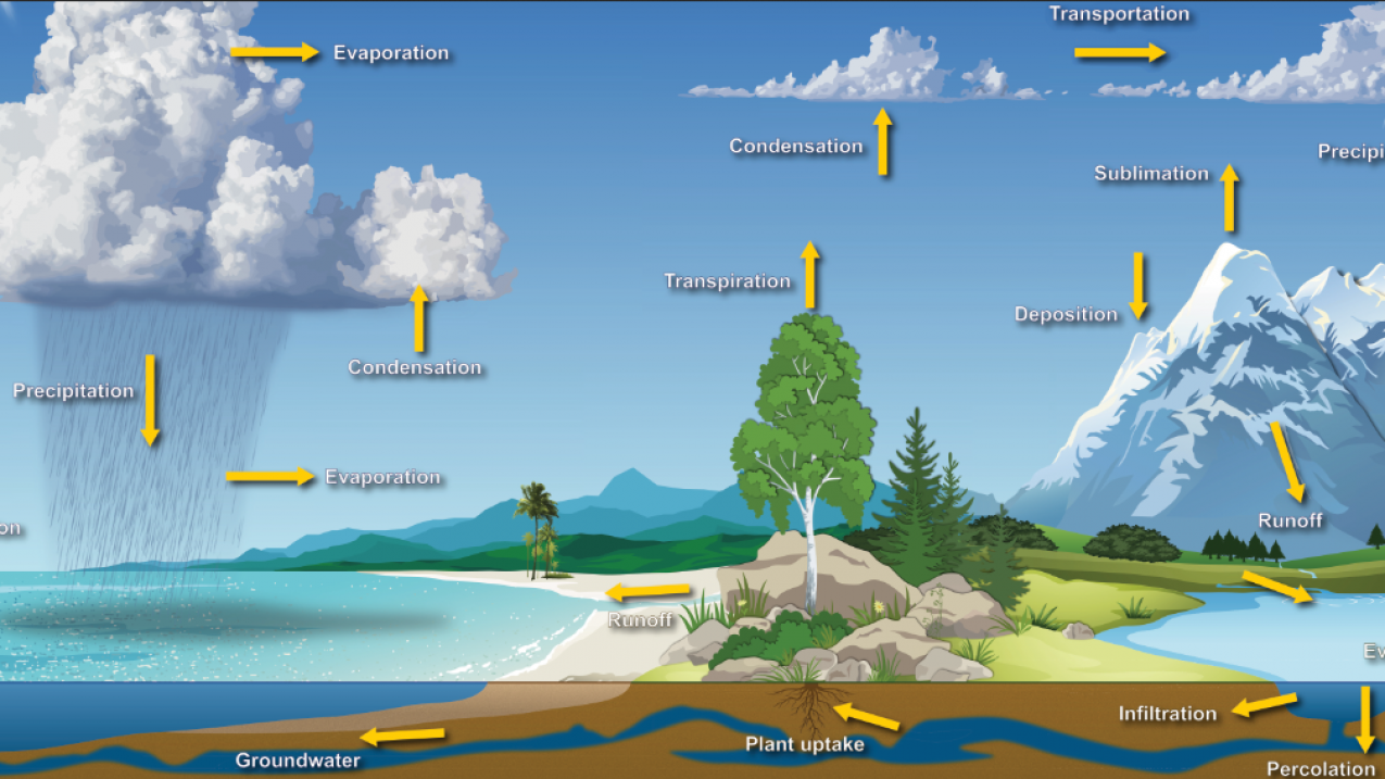 Detailed graphic image of the water cycle with the ocean on the left, land in the middle, and a river, lake, and mountain on the right. The graphic shows where evaporation, condensation, and precipitation may take place and also shows transportation, sublimation, deposition, runoff, infiltration, percolation, groundwater, plant uptake, and transpiration. 