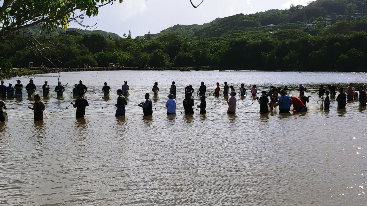 A group of people hold a long net while standing in a semicircle in a small bay. 