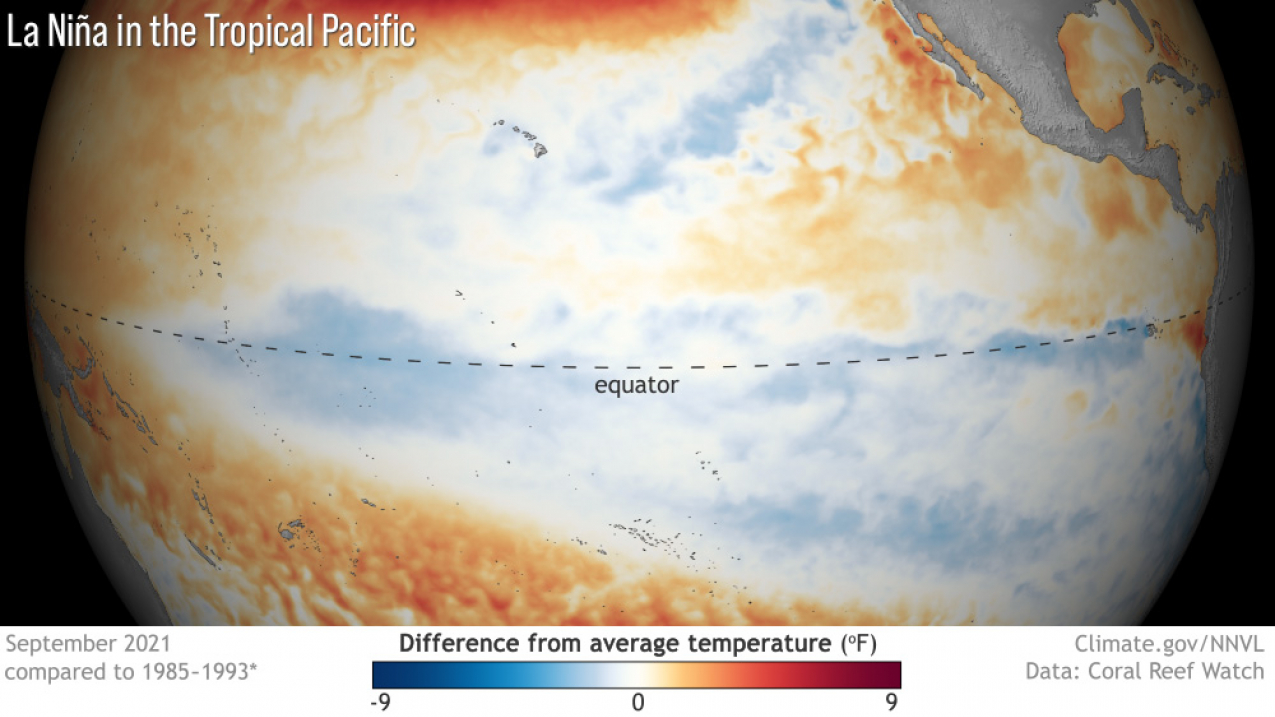 What La Nina looks like: This graphic shows cooler-than-average sea surface temperatures along the equator is indicative of La Nina in the tropical Pacific Ocean in September 2021. 