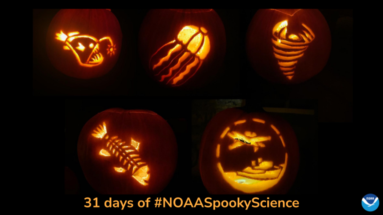 Five pumpkins carved with different NOAA-themed templates including an anglerfish, a jellyfish, a tornado, a bony fish, and a ship and plane. Text: 31 days of #NOAASpookyScience with the NOAA logo.