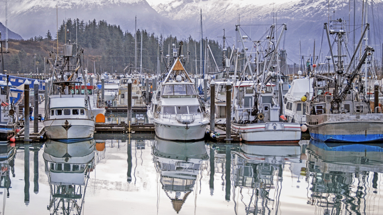 Fishing vessels docked in Alaska. 