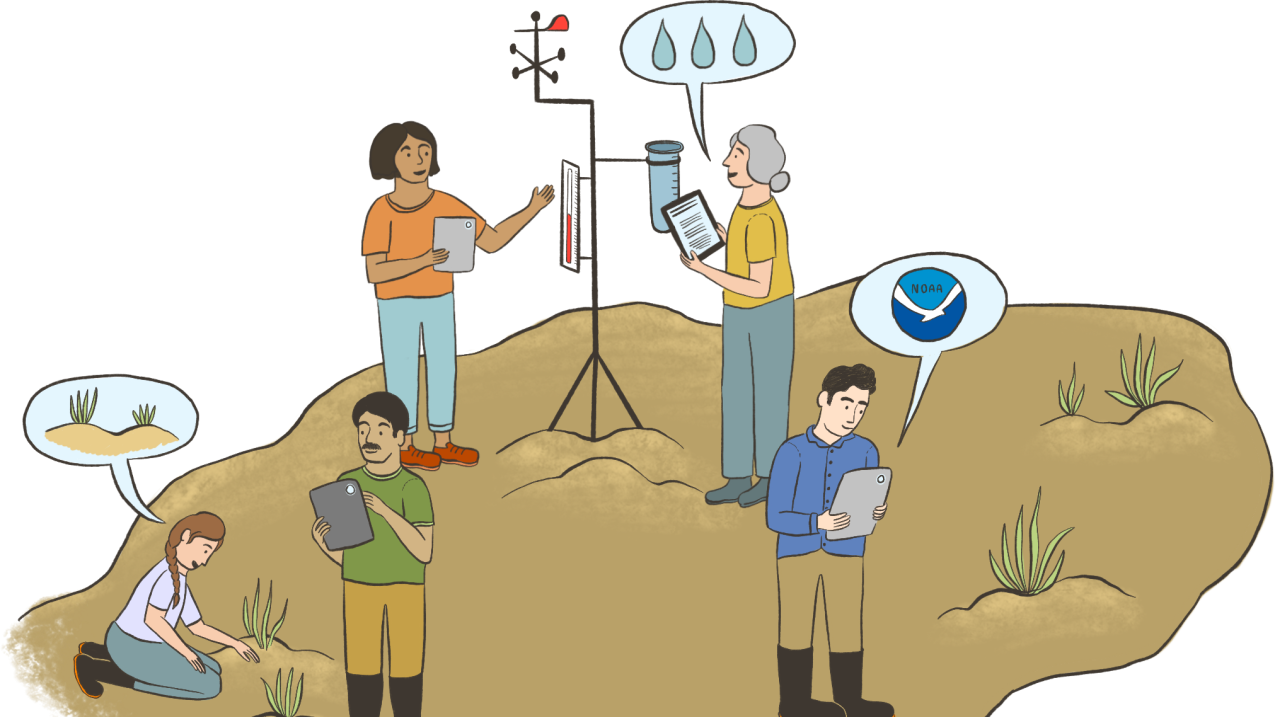 This illustration shows two women measuring temperature and precipitation on some soil. Two other people are surveying the vegetation of the same soil. One final person is using a tablet to look up information on a NOAA website.