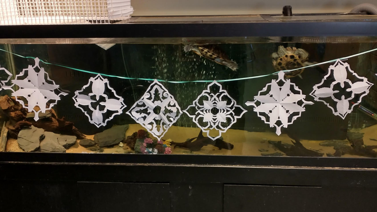 A classroom aquarium is decorated with a chain of paper snowflakes. The snowflakes have turtle and fish cutouts.