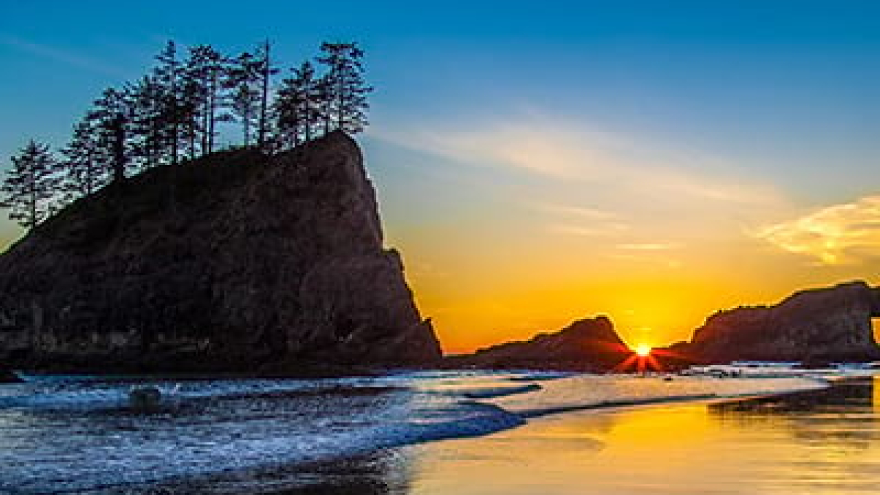 Sunset over coastline with tall cliffs and trees