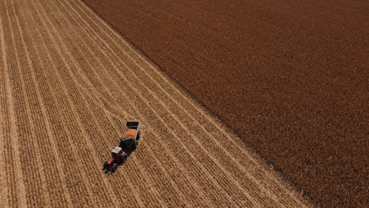 Aerial view of  harvesting machine clearing brown, drought-stressed fields of corn on March 12, 2023 in San Jerónimo Sud, Santa Fe, Argentina.