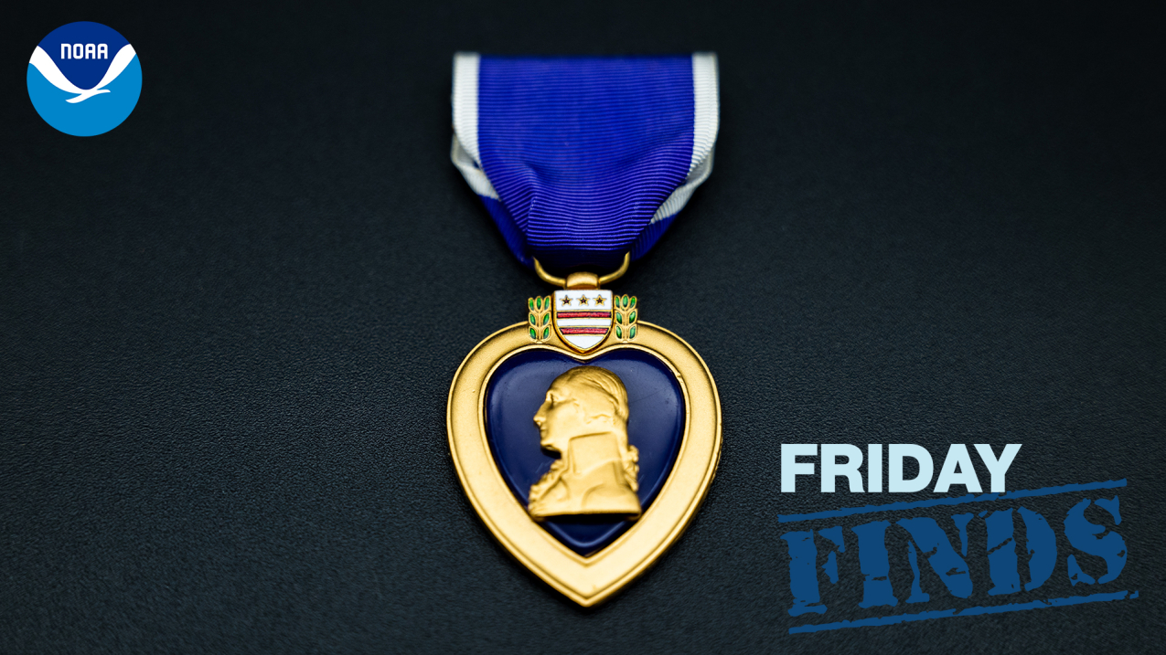 A Purple Heart medal lies on a black background. The medal features George Washington's head and Washington, DC's coat of arms and hangs from a purple ribbon with white borders.