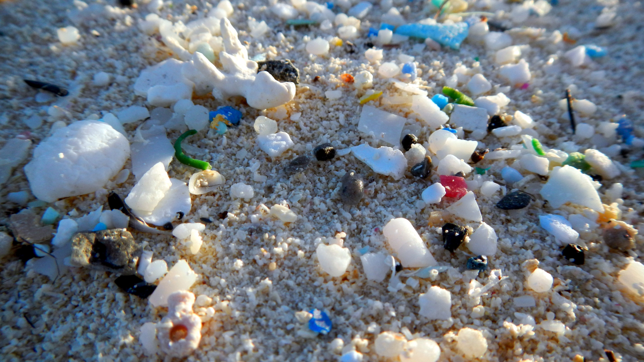 Microplastics are becoming a major problem on beaches around the world