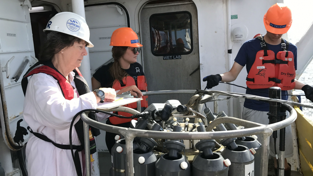 Scientists collect oxygen measurements to determine the size of this year's dead zone, an area of low oxygen that can kill fish and marine life. This cruise has been performed since 1985, creating an important long term data set for scientists. 