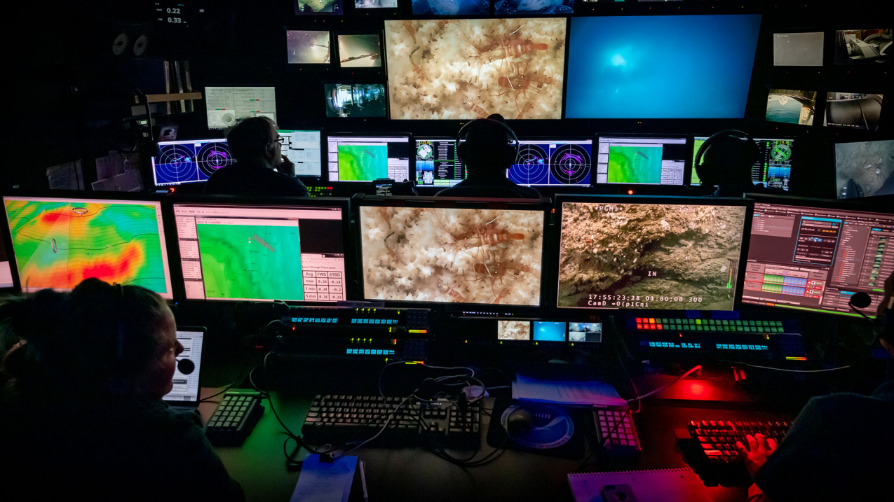 A view inside the control room on board NOAA Ship Okeanos Explorer during a remotely operated vehicle dive on the Windows to the Deep 2019: Exploration of the Southeast U.S. Continental Margin expedition. 
