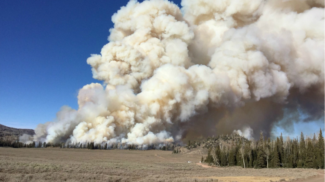 A huge column of smoke rises from a 2017 “prescribed burn” in the Fishlake National Forest in Utah. Forest managers will intentionally and carefully set fires in some sections of forests to restore them to natural conditions.[Photo slightly cropped for size.]
