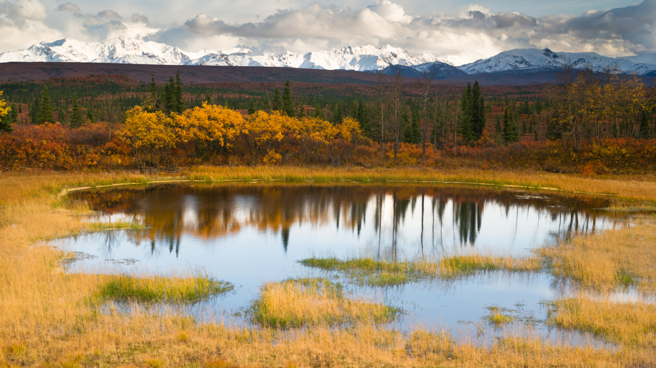 An alpine lake in Alaska, with tundra and mountain range peaks in the background.