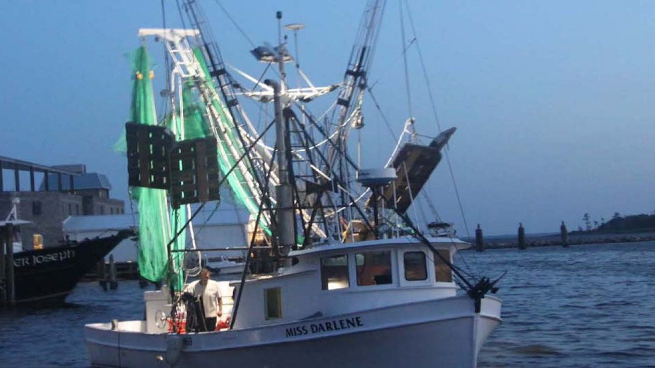 One project included the design and testing of a topless shrimp trawl to reduce finfish bycatch in Pamlico Sound, North Carolina.