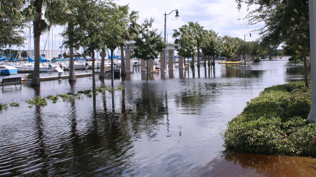 New U.S. regional sea level scenarios developed by NOAA and partners will help coastal communities plan for and adapt to risks from rising sea levels.