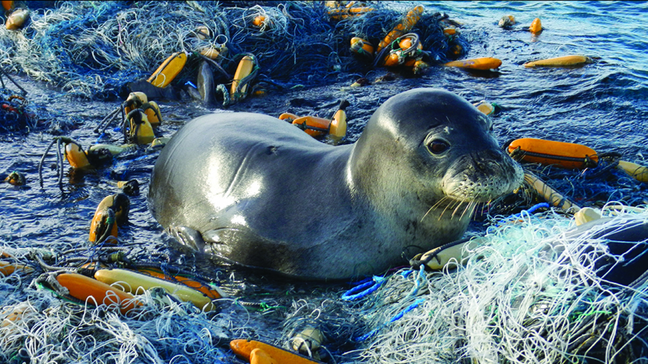 NOAA's Marine Debris Program reports on the national issue of