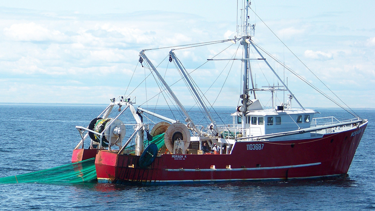 A commercial fishing trawl vessel in New England sets out a net.