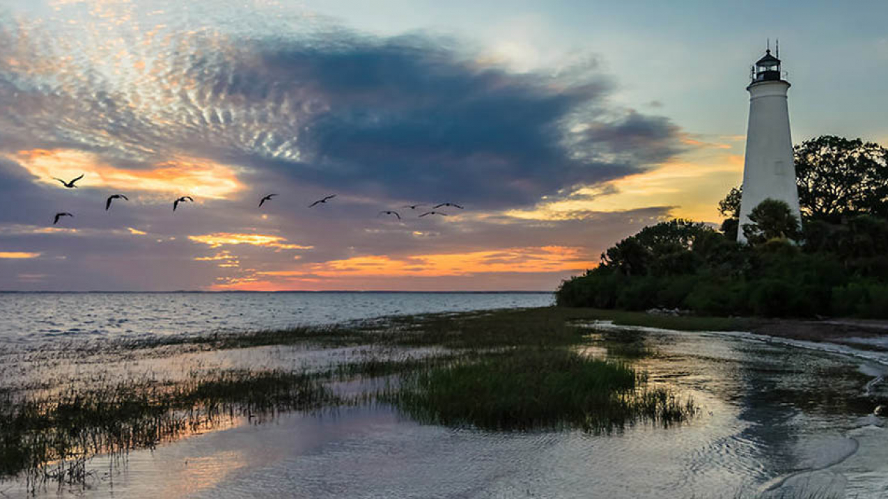 St. Marks National Wildlife Refuge, a marine protected area in Florida.