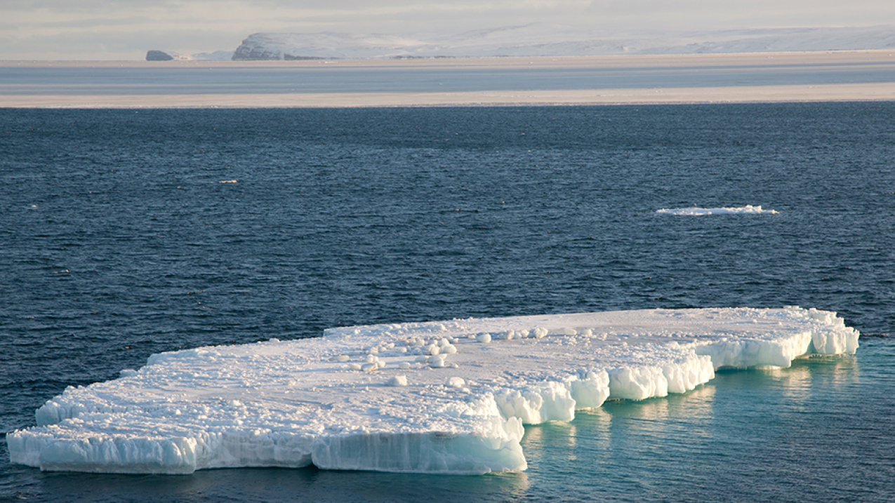 Iceberg in the Chukchi Sea, 2014.