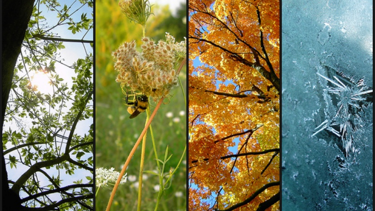 Four Seasons - Spring Summer Fall Winter - Flickr Creative Commons by Sarah Spaulding 