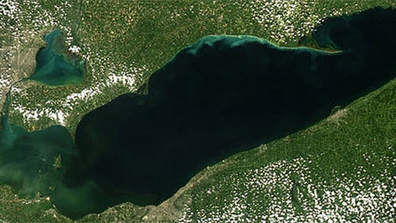 Harmful algal blooms (HABs) in Lake Erie.