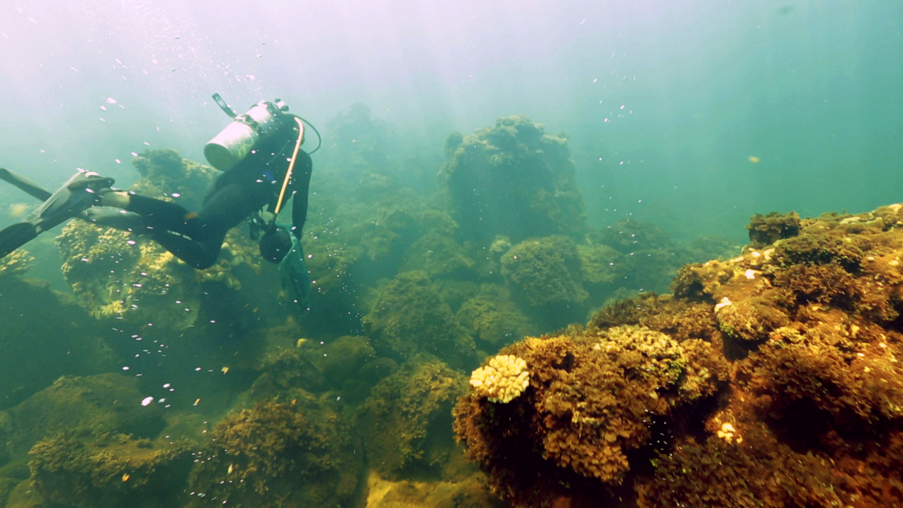 NOAA researcher Ian Enochs dives over underwater vents near an uninhabited volcanic island north of Guam. Given its remoteness, the island offers a unique natural laboratory to study how ocean acidification affects coral reef ecosystems.