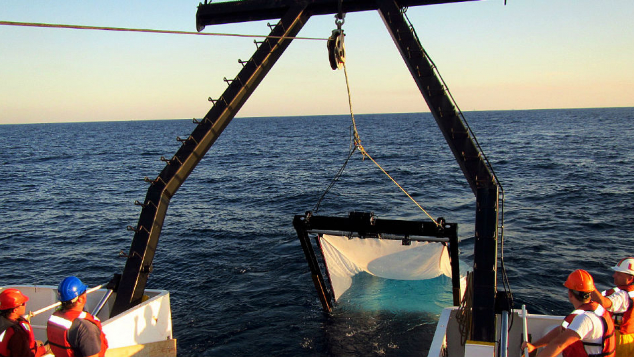 Researchers from Nova Southeastern University recover a MOCNESS midwater trawl system aboard the R/V Point Sur. This sampling gear is used to collect specimens and habitat information in the open ocean waters of the Gulf, from the surface to approximately one-mile depth, home to the majority of the Gulf’s fish diversity. Their work has been partially funded through NOAA grants. 