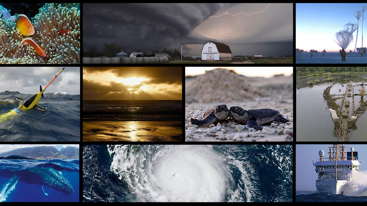 The top photos from NOAA Instagram in 2019