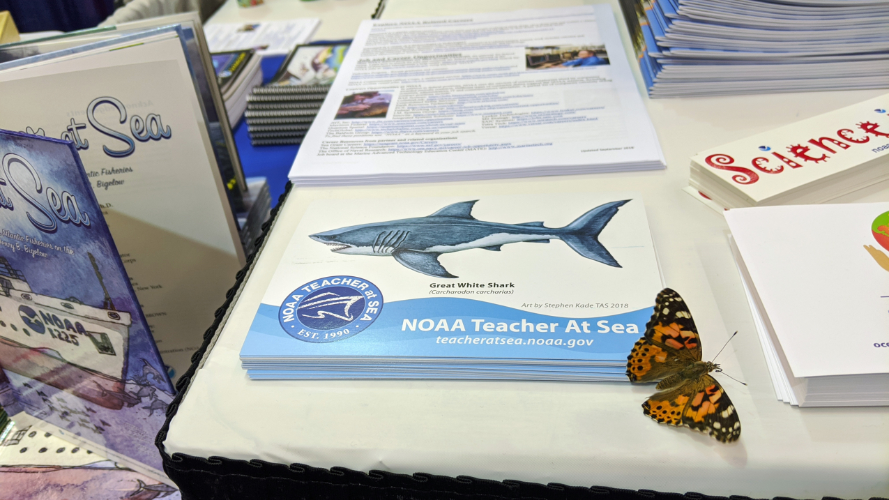 A painted lady butterfly rests on a flyer on a table full of educational materials at a conference.