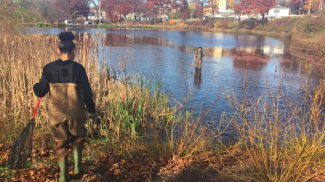 Two students wear waders by a large pond. One student is knee deep in the water and the other is holding a rake and wearing rain boots along the pond’s edge. There are red trees and houses in the background past the pond.