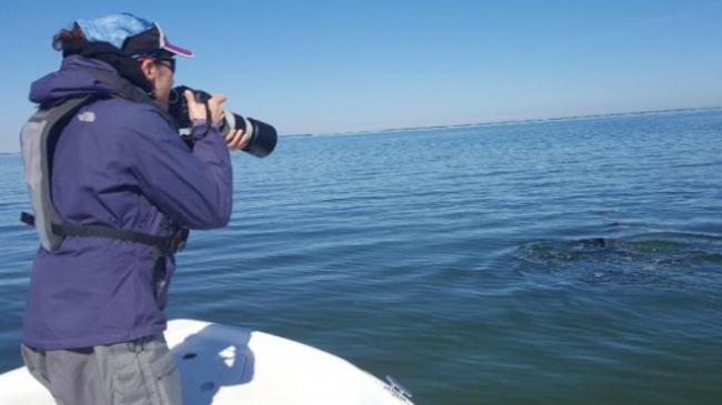 Laura Dias photographing bottlenose dolphins during a photo-identification project.