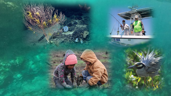 collage of NOAA resources and people