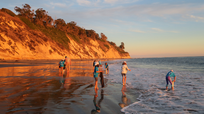 A group of young children and and adult look at and use plastic tubes to take samples of the sand on a beach at sunset. 