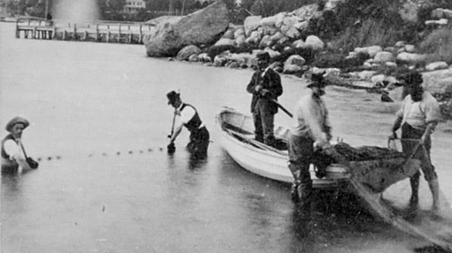 First U.S. Fish Commissioner Spencer Baird (on shore, at right) and colleagues seining in Little Harbor, Woods Hole, circa 1875. Credit: NOAA Fisheries/NEFSC Historical Collection.