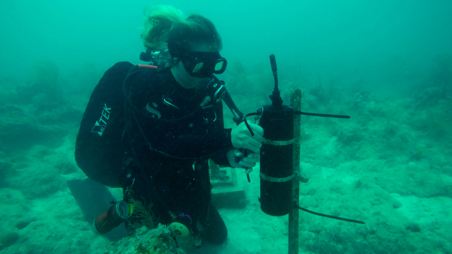 A reseach diver collects data from an underwater sound recorder in Florida Keys National Marine Sanctuary