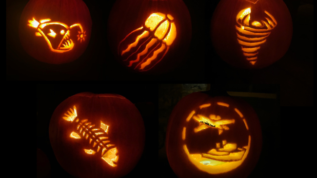 Five pumpkins carved with different NOAA-themed templates including an anglerfish, a jellyfish, a tornado, a bony fish, and a ship and plane.