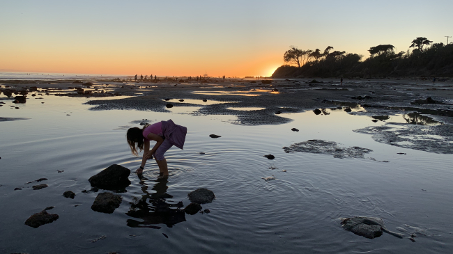 A young girl reaches into a tidepool. The sun is setting in the background, showing silhouettes of other people tidepooling in the distance.